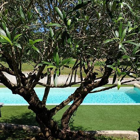 Chambre Saint Emilion - Le Clos D'Antan Les Artigues-de-Lussac Εξωτερικό φωτογραφία